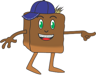 cambissolo