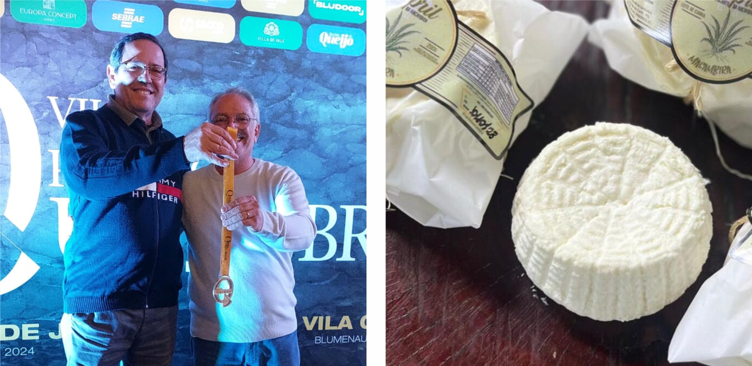 premio queijo 3